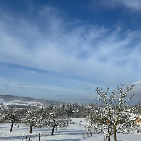 بيت ريفي Spessartruh