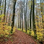 여관 Spessartruh Frohnhofen