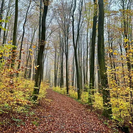 Herberg Spessartruh Frohnhofen