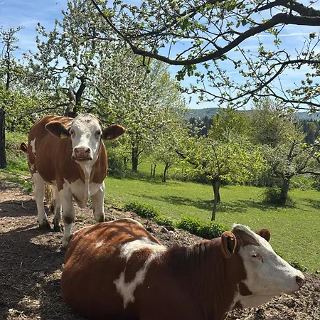 Herberg Spessartruh Frohnhofen